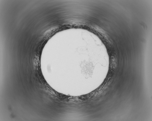 X0000110770918200907271201