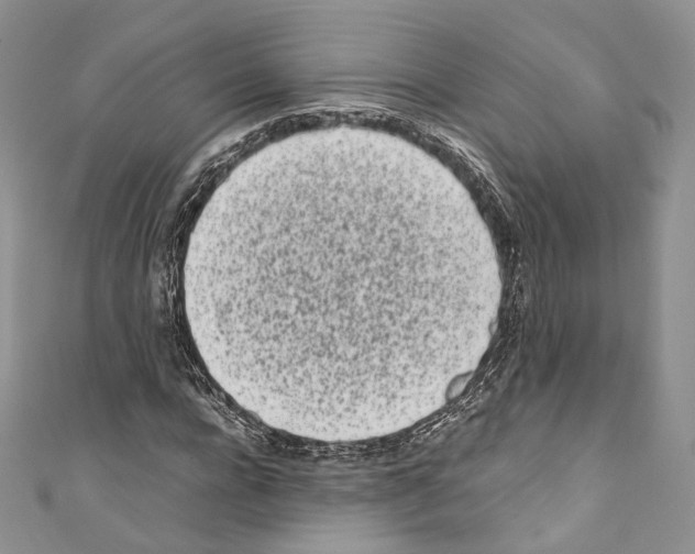 X0000110770920200907271201