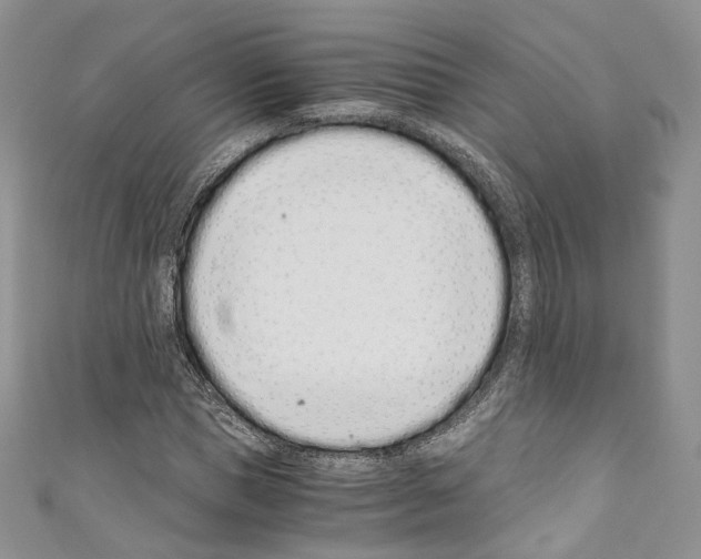 X0000110770921200907271201