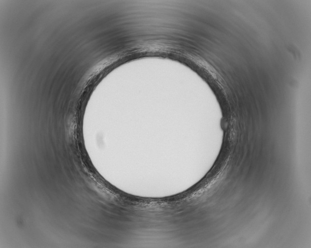 X0000110770922200907271201