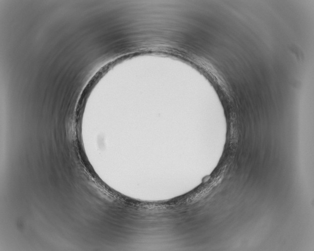 X0000110770924200907271201