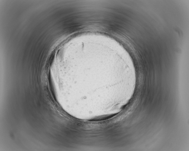 X0000110770925200907271201