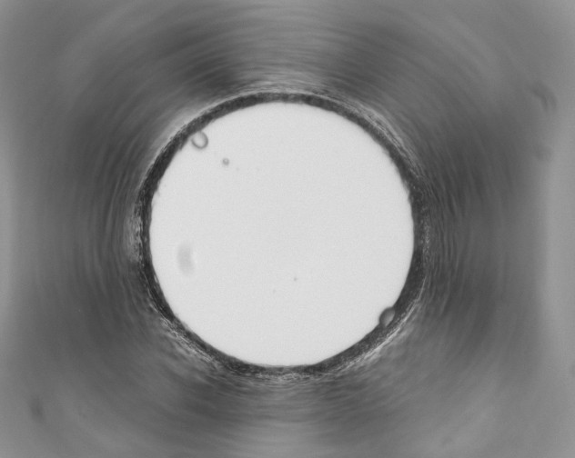 X0000110770926200907271201