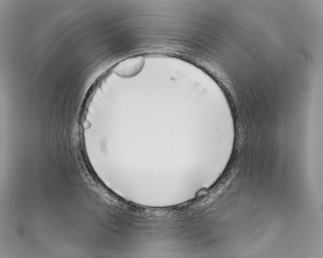 X0000110770928200907271201