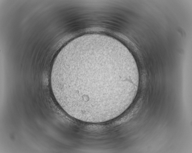 X0000110770929200907271201