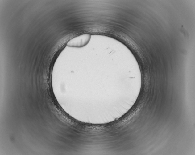 X0000110770930200907271201