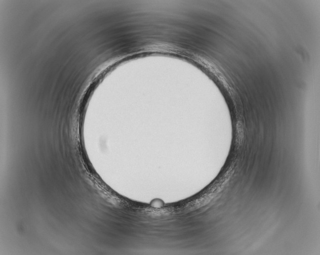 X0000110770931200907271201