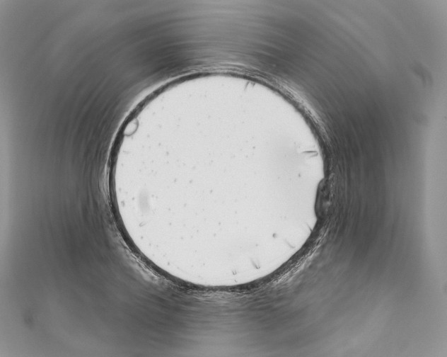 X0000110770932200907271201