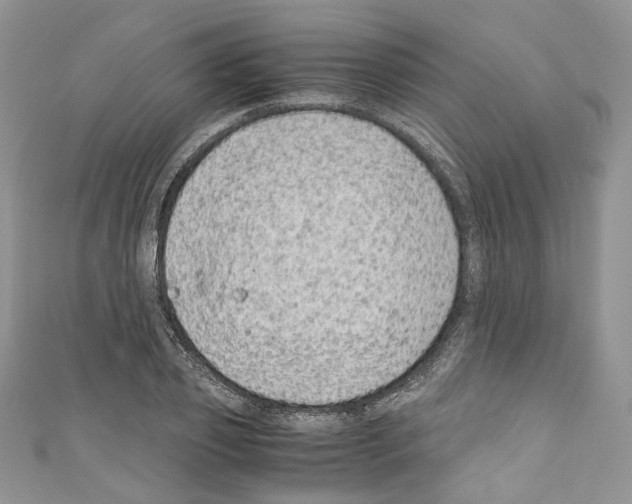 X0000110770933200907271201