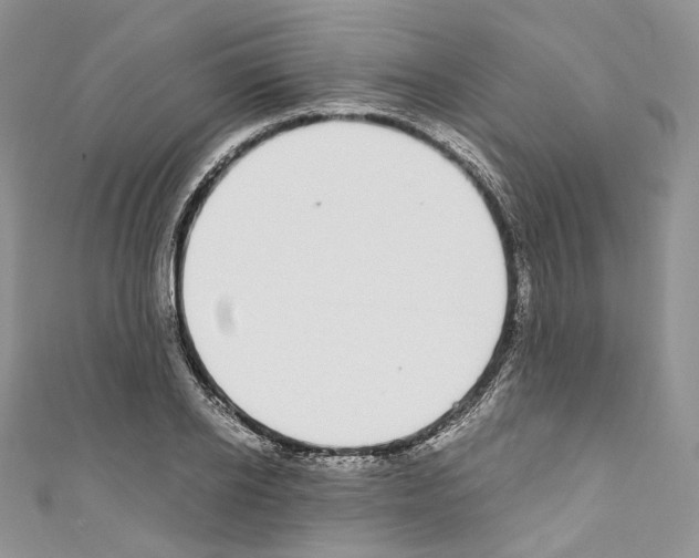 X0000110770934200907271201