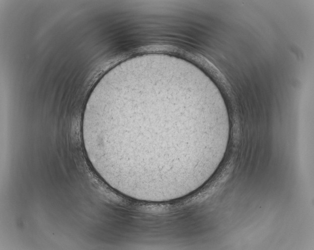 X0000110770937200907271201