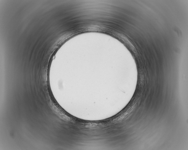 X0000110770938200907271201