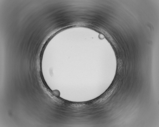 X0000110770939200907271201