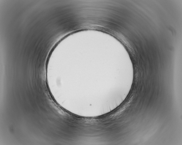 X0000110770940200907271201