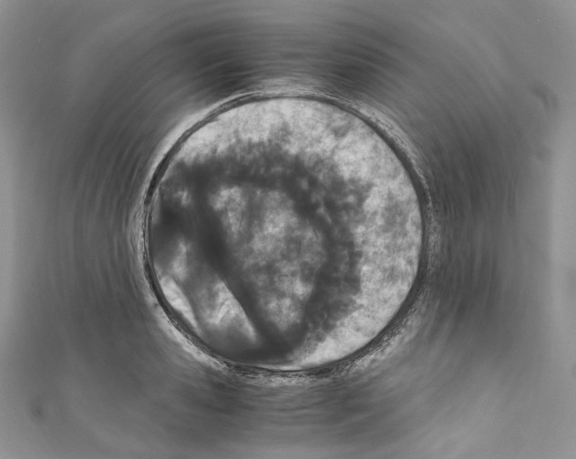 X0000110770941200907271201