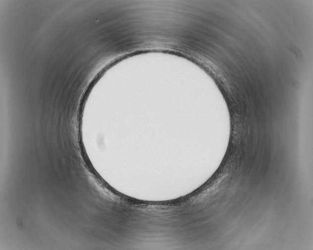 X0000110770942200907271201