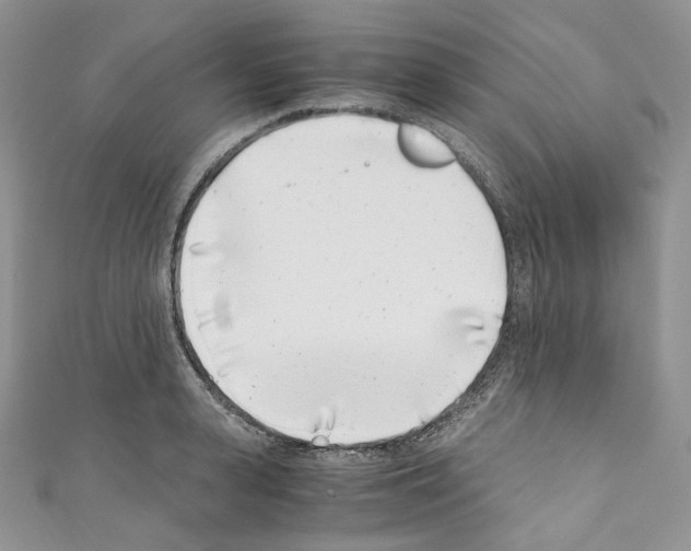 X0000110770943200907271201