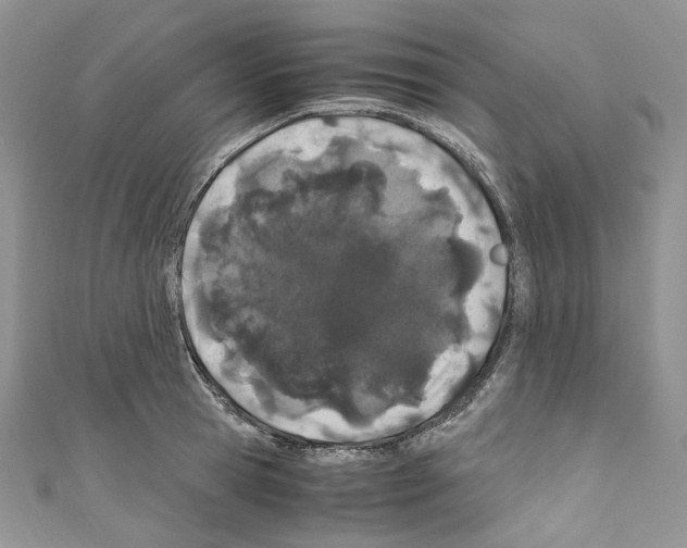 X0000110770945200907271201