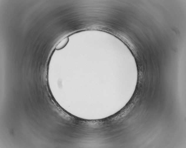 X0000110770948200907271201