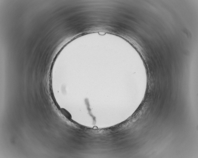 X0000110770949200907271201