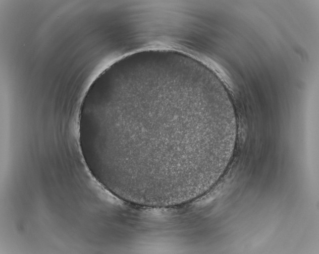 X0000110770950200907271201