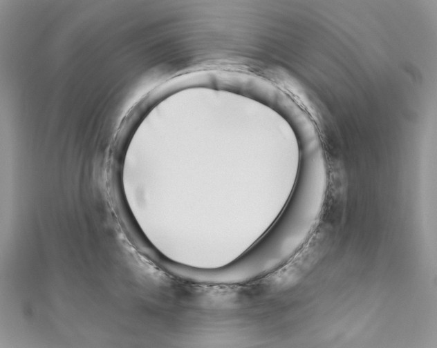 X0000110770952200907271201