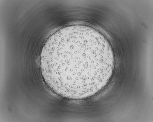 X0000110770953200907271201