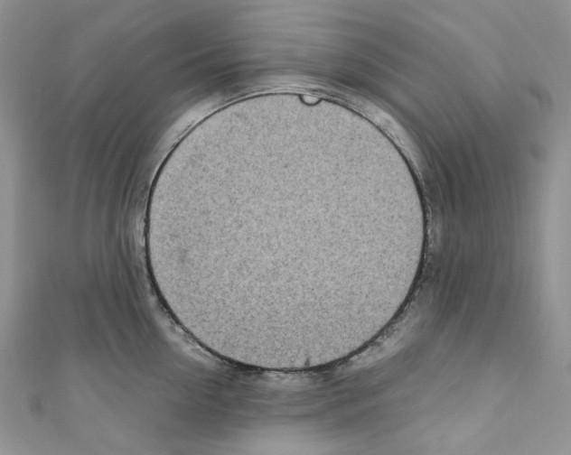 X0000110770954200907271201