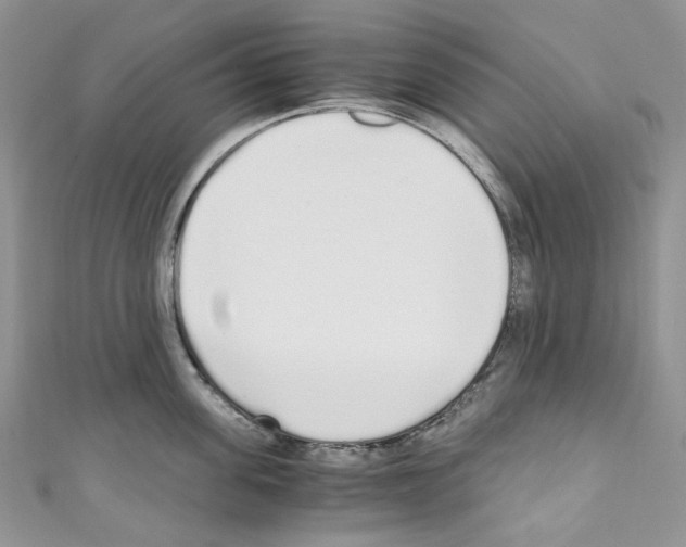 X0000110770955200907271201