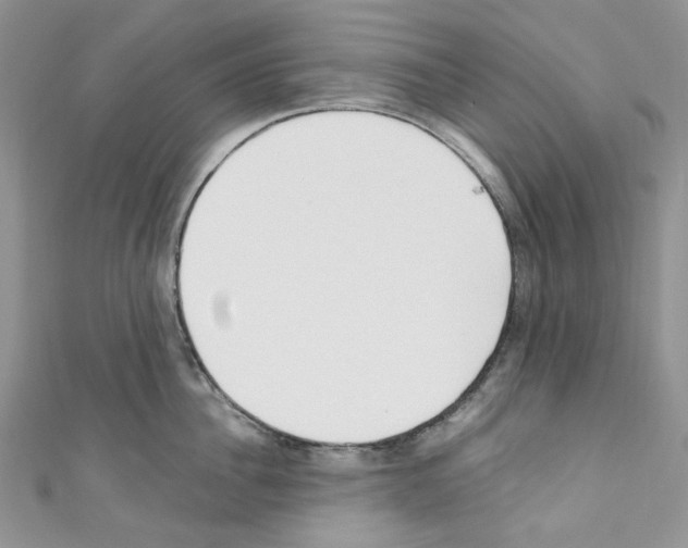 X0000110770956200907271201