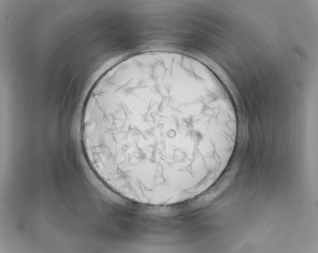 X0000110770957200907271201