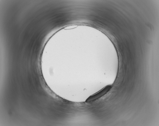 X0000110770960200907271201