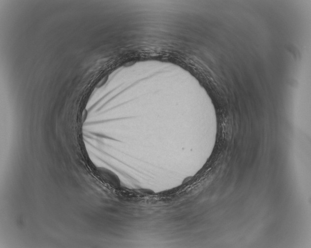 X0000110770961200907271201