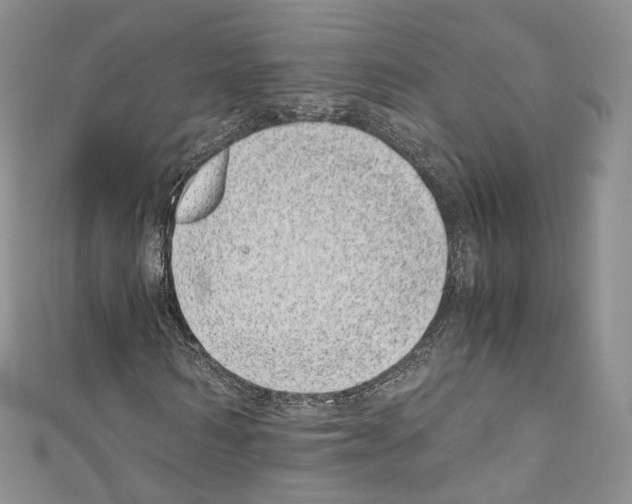 X0000110770962200907271201