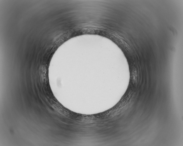 X0000110770964200907271201