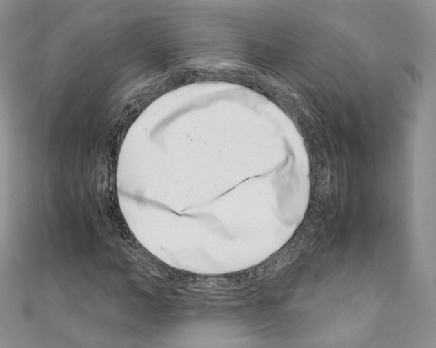 X0000110770966200907271201