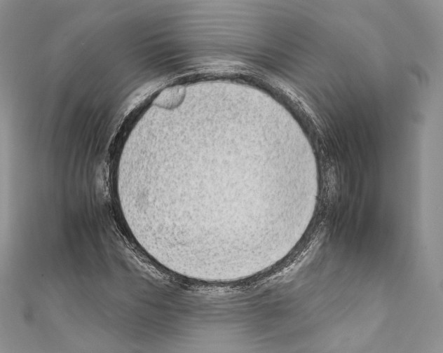 X0000110770970200907271201