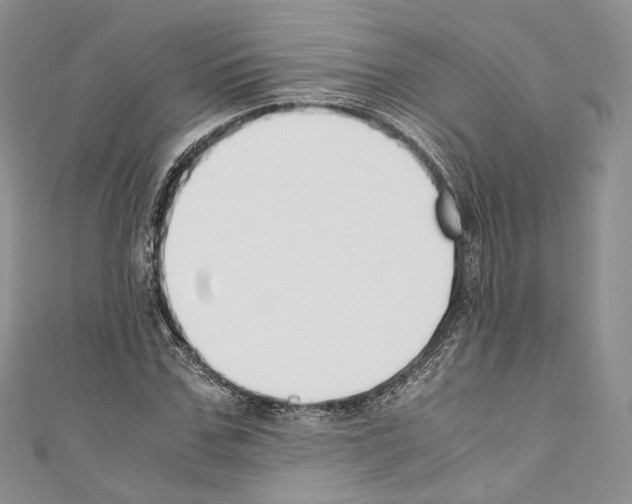 X0000110770971200907271201