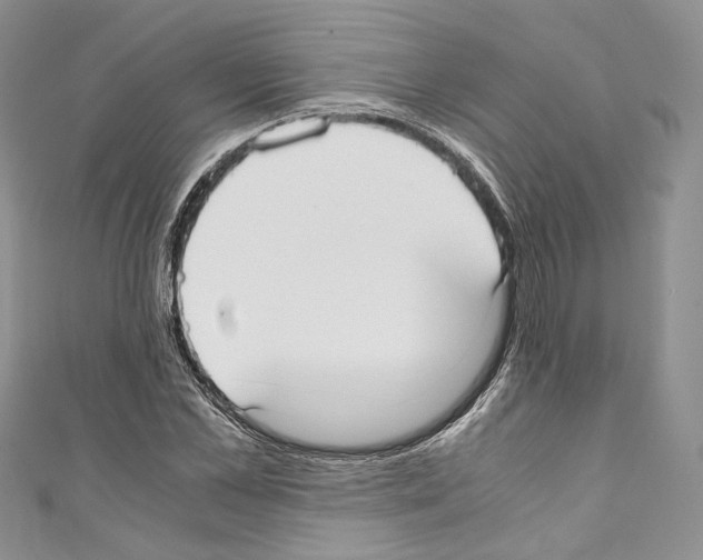 X0000110770973200907271200