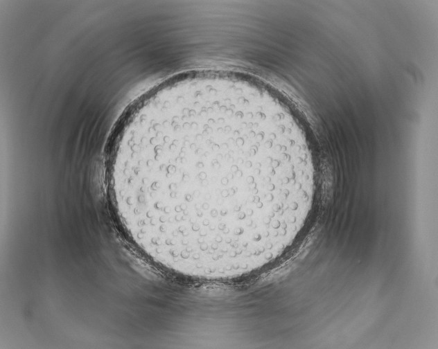 X0000110770974200907271200