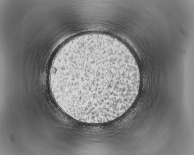 X0000110770975200907271200