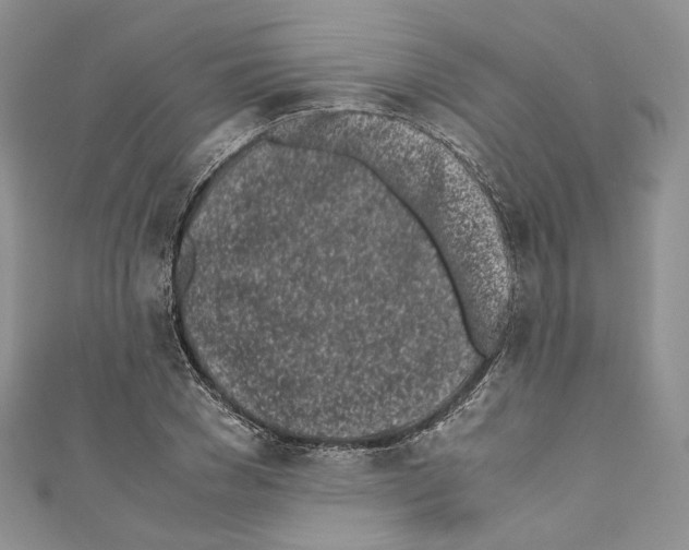 X0000110770977200907271200