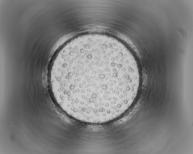 X0000110770978200907271200