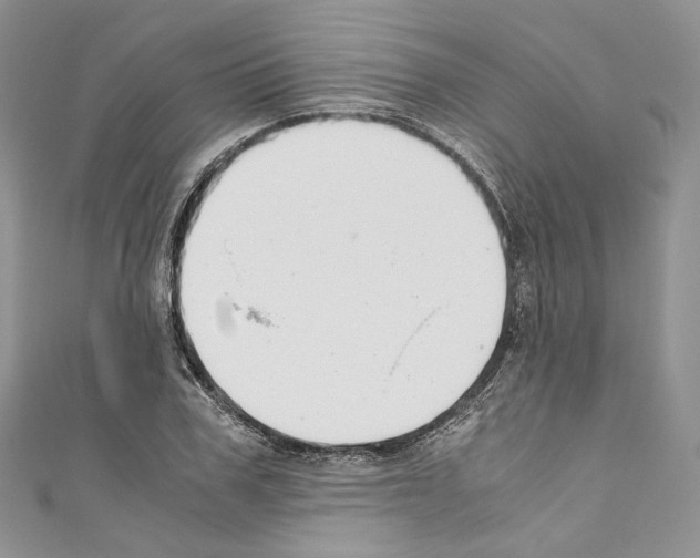 X0000110770979200907271200