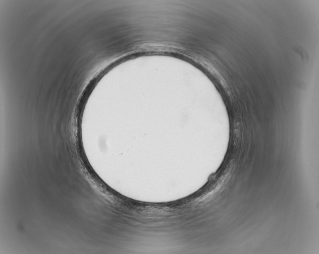 X0000110770981200907271200