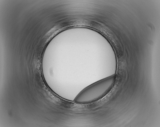 X0000110770985200907271200