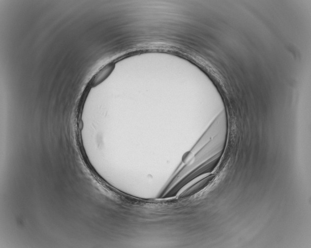 X0000110770989200907271200