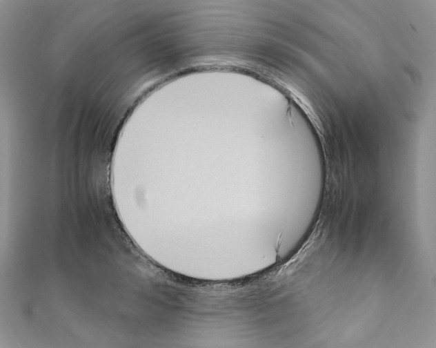 X0000110770992200907271200