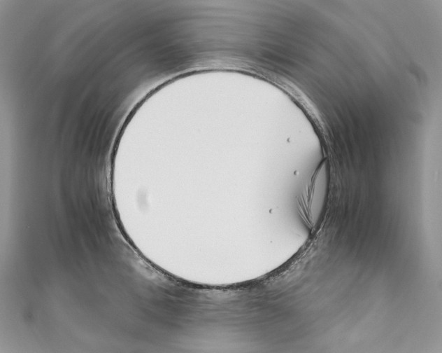 X0000110770996200907271200