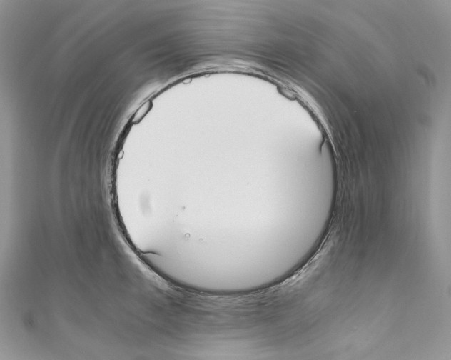 X0000110770997200907271200